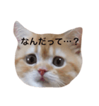 こぱんくん。（個別スタンプ：8）