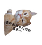 こぱんくん。（個別スタンプ：10）