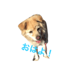 キアラスタンプ（個別スタンプ：1）