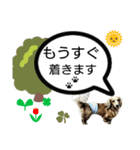 ドッグリフレオッジ5 ver.チリン（個別スタンプ：15）