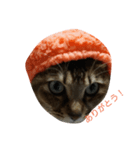 帽子ねこ（個別スタンプ：8）