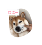 えるたんのスタンプだよ！（個別スタンプ：2）