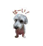 ワンコのロクイチ君 vol.1（個別スタンプ：3）