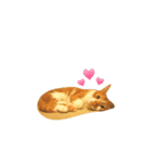 Miumiu＆Miube cat（個別スタンプ：1）