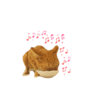 Miumiu＆Miube cat（個別スタンプ：8）