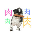 ジョンジョル君（個別スタンプ：5）