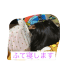 親戚の方もご利用下さい（個別スタンプ：20）