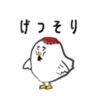 親鶏の毎日（個別スタンプ：5）