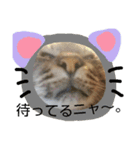 あんずと友達（個別スタンプ：2）