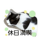 あんずと友達（個別スタンプ：11）