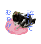 あんずと友達（個別スタンプ：12）