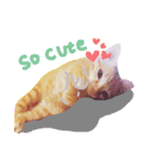meow funny（個別スタンプ：2）