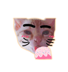 meow funny（個別スタンプ：5）
