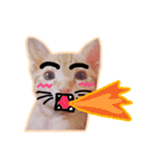 meow funny（個別スタンプ：14）