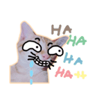meow funny（個別スタンプ：15）
