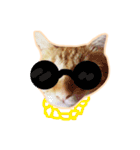 meow funny（個別スタンプ：18）