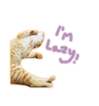 meow funny（個別スタンプ：19）