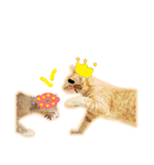 meow funny（個別スタンプ：22）
