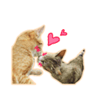 meow funny（個別スタンプ：23）