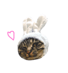 ツナちゃん（個別スタンプ：8）