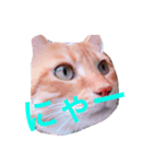 ゆーすけのかお（個別スタンプ：2）