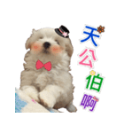 Ha baby（個別スタンプ：2）
