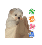 Ha baby（個別スタンプ：3）