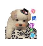 Ha baby（個別スタンプ：4）