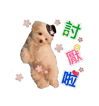 Ha baby（個別スタンプ：5）