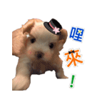 Ha baby（個別スタンプ：6）