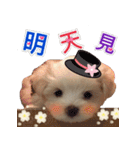 Ha baby（個別スタンプ：7）