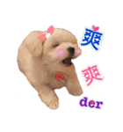 Ha baby（個別スタンプ：10）