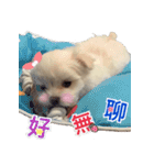 Ha baby（個別スタンプ：11）
