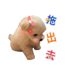 Ha baby（個別スタンプ：13）