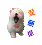Ha baby（個別スタンプ：14）