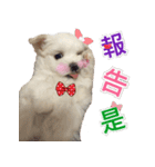 Ha baby（個別スタンプ：15）