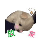Ha baby（個別スタンプ：16）