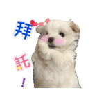 Ha baby（個別スタンプ：17）
