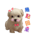Ha baby（個別スタンプ：18）