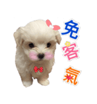 Ha baby（個別スタンプ：20）