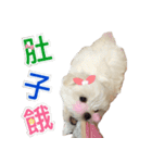 Ha baby（個別スタンプ：22）