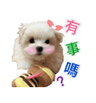 Ha baby（個別スタンプ：24）