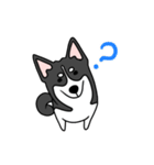 黒犬の生活 第1弾（個別スタンプ：1）
