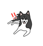 黒犬の生活 第1弾（個別スタンプ：2）