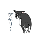 黒犬の生活 第1弾（個別スタンプ：4）