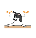 黒犬の生活 第1弾（個別スタンプ：10）