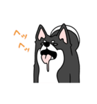 黒犬の生活 第1弾（個別スタンプ：11）