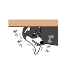黒犬の生活 第1弾（個別スタンプ：12）