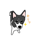 黒犬の生活 第1弾（個別スタンプ：13）