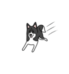 黒犬の生活 第1弾（個別スタンプ：15）